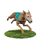 911娛樂城白金賽狗